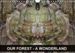 Our Forest - A Wonderland 2018