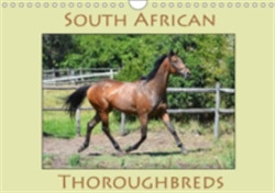 South African Thoroughbreds 2018