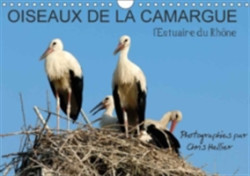 Oiseaux De La Camargue: L'estuaire Du Rhone 2018