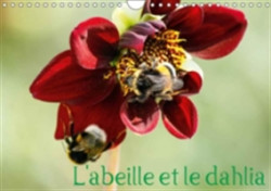 L'Abeille Et Le Dahlia 2018