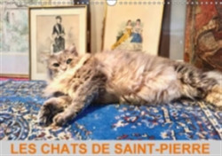 Chats De Saint-Pierre 2018