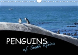 Penguins of South Africa 2018