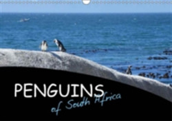 Penguins of South Africa 2018