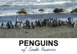 Penguins of South America 2018