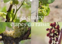 Quatre Etapes Du Raisin 2018