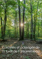 Curiosites Et Paysages De La Foret De Fontainebleau 2018