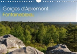 Gorges D'apremont - Fontainebleau 2018