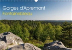 Gorges D'apremont - Fontainebleau 2018