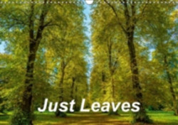 Just Leaves 2018