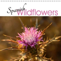 Spanish Wildflowers 2018