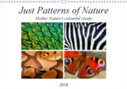Just Patterns of Nature 2018
