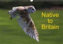 Native to Britain 2018