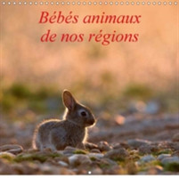 Bebes Animaux De Nos Regions 2018