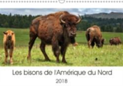 Bisons De L'amerique Du Nord 2018