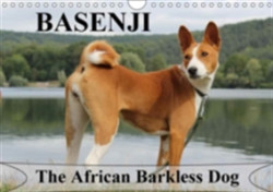 Basenji the African Barkless Dog 2018