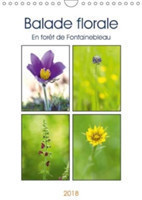 Balade Florale En Foret De Fontainebleau 2018