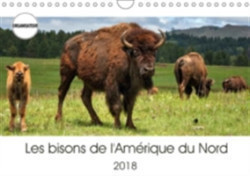Bisons De L'amerique Du Nord 2018