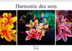 Harmonie Des Sens Beaux Lys 2018