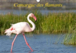 Camargue Des Flamants 2018