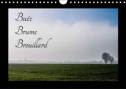 Buee Brume Brouillard 2018