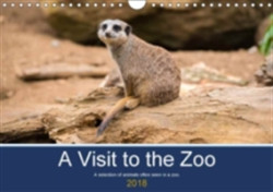 Visit to the Zoo 2018