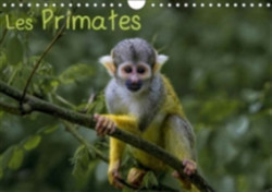 Primates 2018