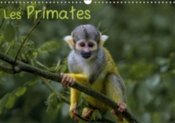 Primates 2018