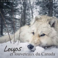 Loups Et Louveteaux Du Canada 2018