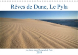 Reves De Dune, Le Pyla 2018