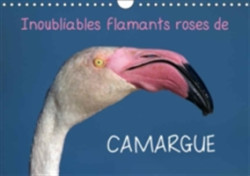 Inoubliables Flamants Roses De Camargue 2018