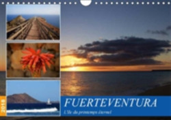 Fuerteventura, L'ile Du Printemps Eternel 2018