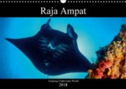 Raja Ampat - Amazing Underwater World 2018