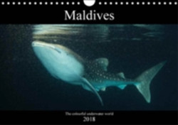 Maldives 2018