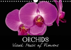 Orchids 2018