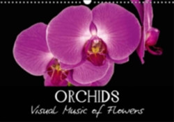 Orchids 2018