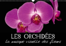 Orchidees - La Musique Visuelle Des Fleurs 2018