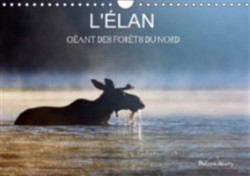L'Elan - Geant Des Forets Du Nord 2018