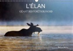 L'Elan - Geant Des Forets Du Nord 2018