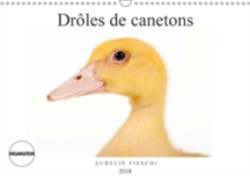 Droles De Canetons 2018