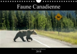 Faune Canadienne 2018