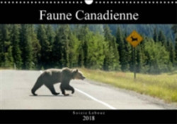 Faune Canadienne 2018