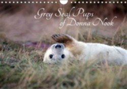 Grey Seal Pups of Donna Nook 2018