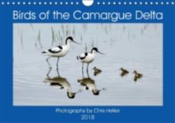 Birds of the Camargue Delta 2018