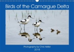 Birds of the Camargue Delta 2018