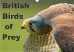 British Birds of Prey 2018