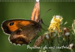 Papillons De Nos Contrees 2018