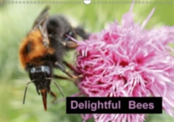 Delightful Bees 2018
