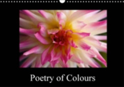 Poetry of Colours 2018