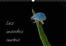 Insectes Audois 2018