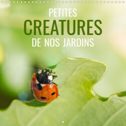 Petites créatures de nos jardins (Calendrier mural 2023 300 × 300 mm Square)